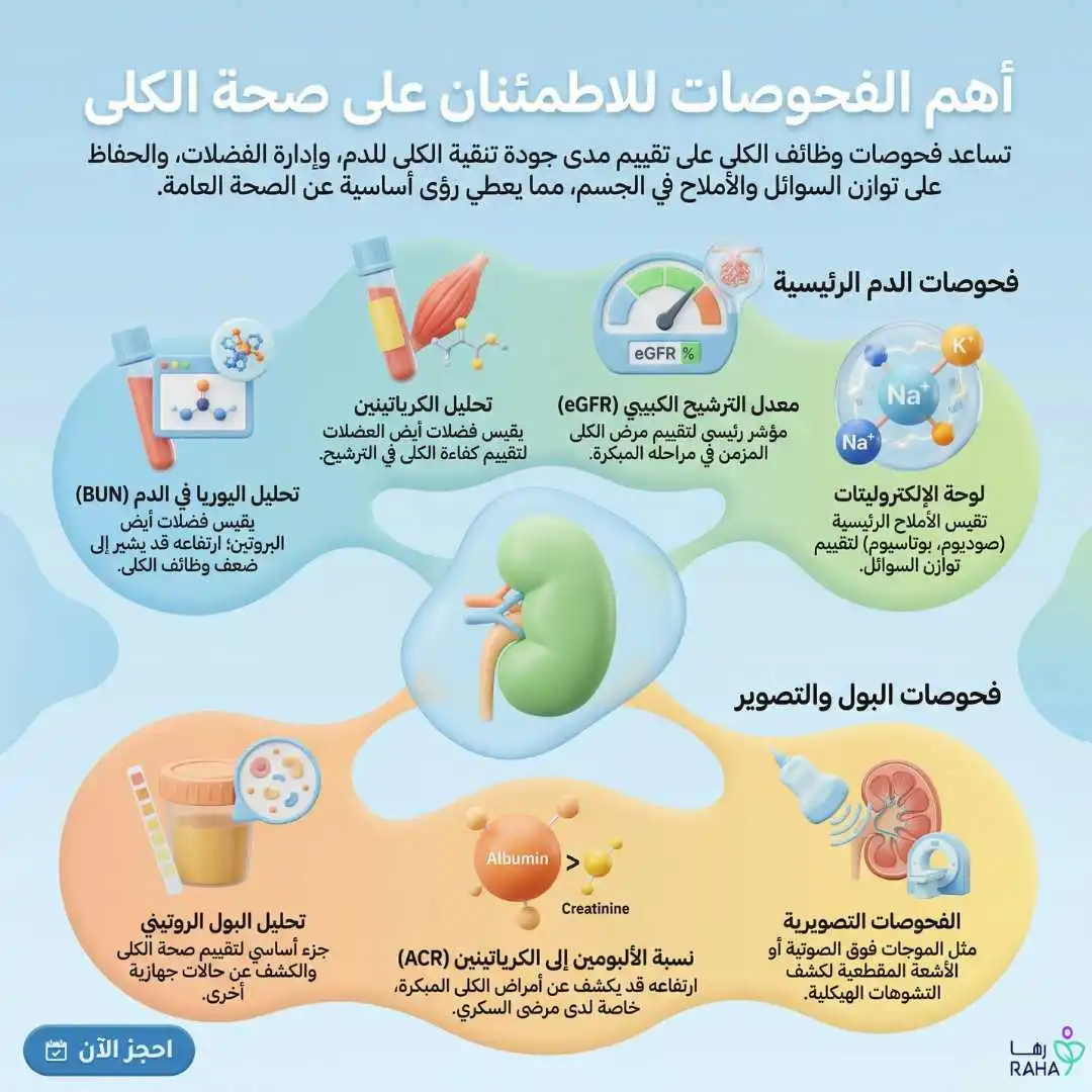 فحص وظائف الكلى&nbsp;